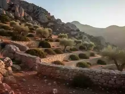 Sonnige, bergige Landschaft auf Sardinien mit alten Steinterrassen und Olivenbäumen in der goldenen Abendsonne. - Foto: über boerse-global.de