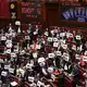 Die linke Opposition kritisiert das Vorhaben und nennt die Reform 