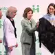 Die Holz-Metall-Statue fiel bei der Enthüllung vom Podest.  - Bild: Felix Kästle/dpa
