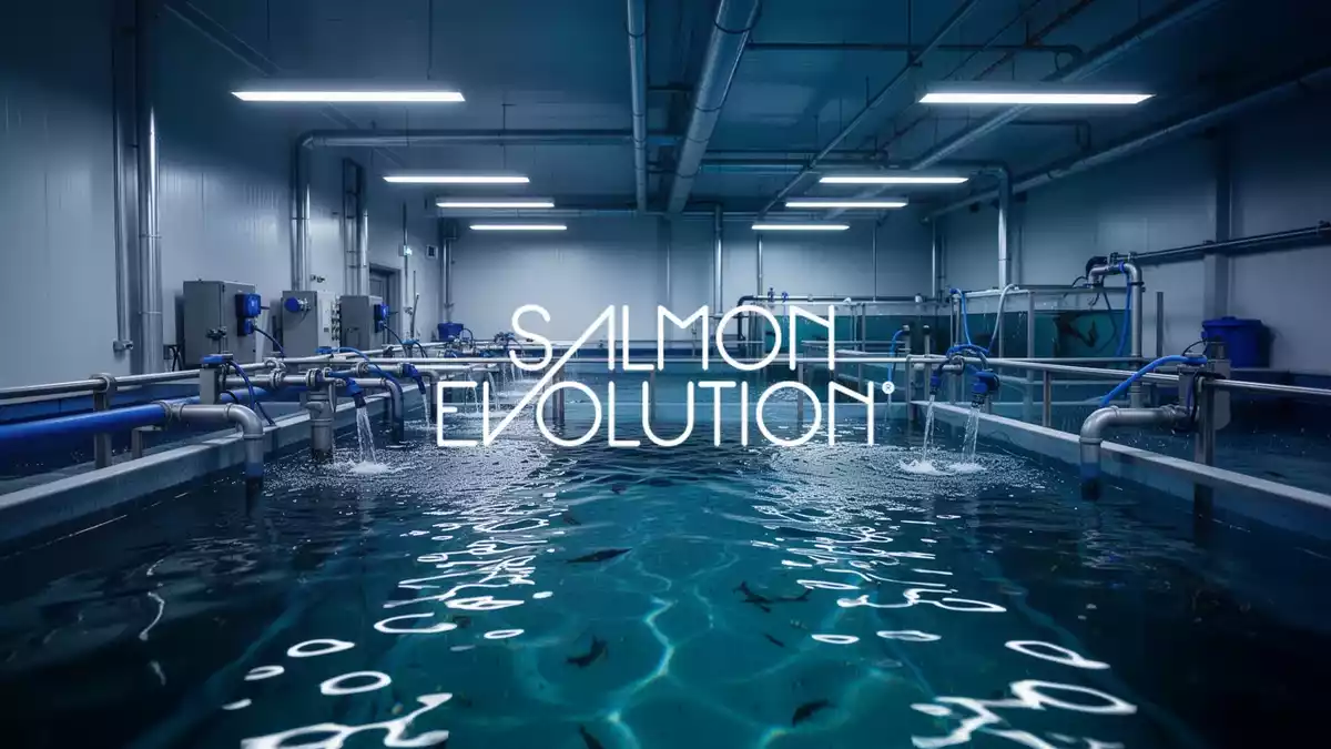 Salmon Evolution steigert Ernte im dritten Quartal trotz kleinerer Fische