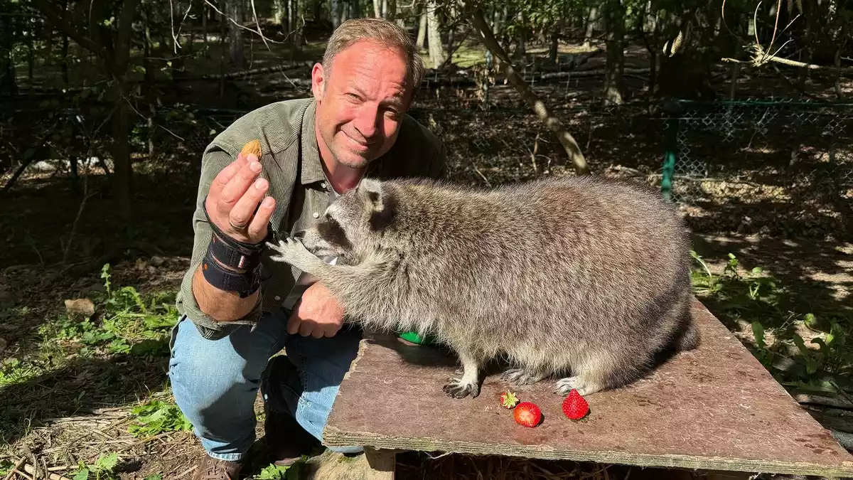 Tobis Urlaubstrip: Naturpark Knüll- Abenteuer, Natur und ungewöhnliche Entdeckungen - Bild: presseportal.de
