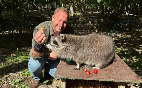 Tobis Urlaubstrip: Naturpark Knüll- Abenteuer, Natur und ungewöhnliche Entdeckungen - Foto: presseportal.de
