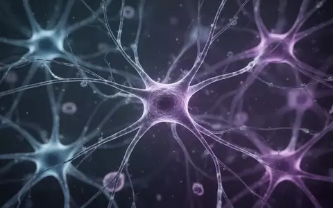 Mikroskopische Aufnahme von neuronalen Netzwerken und Astrozyten zur Veranschaulichung biologischer Regenerationsprozesse. - Foto: über boerse-global.de