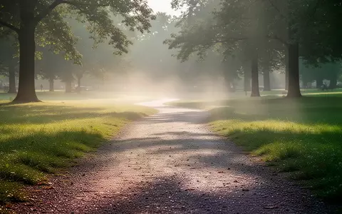 Ein sonniger, ruhiger Spazierweg in einem grünen Park bei morgendlichem Licht. - Foto: über boerse-global.de