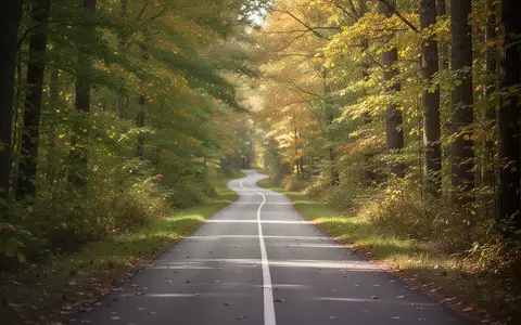 Ein einsamer Laufpfad in einem sonnendurchfluteten Wald, der die positiven Auswirkungen von Ausdauertraining symbolisiert. - Foto: über boerse-global.de