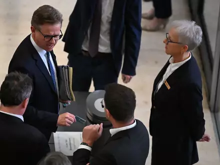 Der Bundestag stimmte für die Forderung nach mehr Daten zu Bluttests bei Schwangeren. - Foto: Michael Brandt/dpa