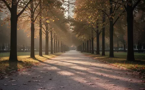 Ein ruhiger, von Bäumen gesäumter Kiesweg in einem Stadtpark während der goldenen Stunde mit weichem Licht und Schattenwurf. - Foto: über boerse-global.de
