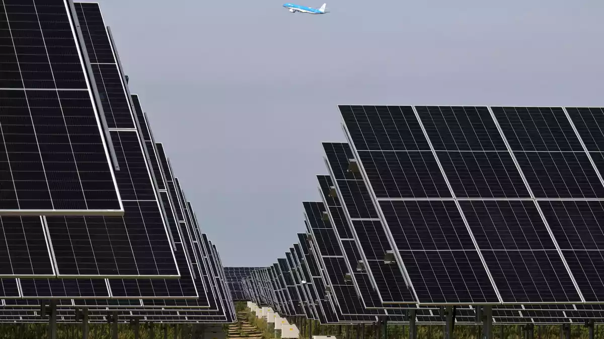 Freiflächen-Photovoltaikanlagen gelten als die günstigste Art der Stromproduktion. (Archivbild) - Bild: Michael Bahlo/dpa