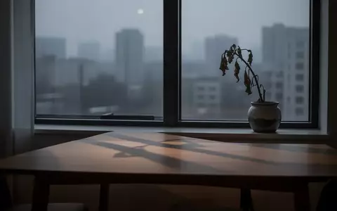 Ein minimalistischer, ruhiger Raum bei Dämmerung mit einer einsamen Pflanze am Fenster, der die Atmosphäre psychischer Erschöpfung symbolisiert. - Foto: über boerse-global.de