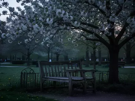 Symbolbild: Parkbank unter einem blühenden Baum - Foto: über boerse-global.de