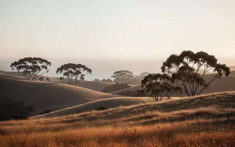 Eine friedliche, hügelige kalifornische Landschaft bei Sonnenuntergang mit goldenem Gras und Baumsilhouetten. - Foto: über boerse-global.de