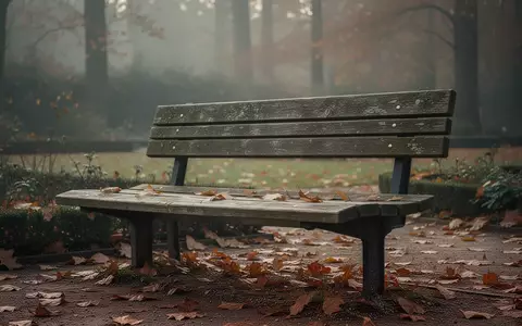 Ein einsamer Parkbank in einem herbstlichen Garten mit gefallenen Blättern bei weichem Morgenlicht. - Foto: über boerse-global.de