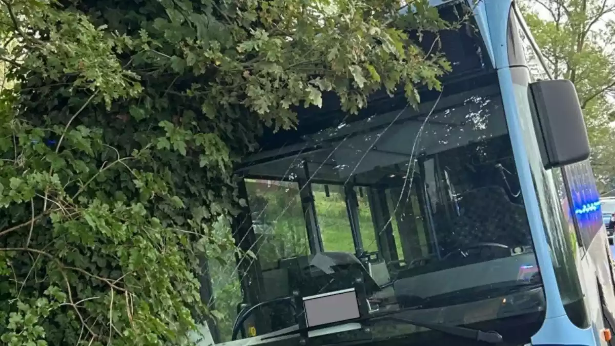 POL-PB: Sechs leichtverletzte Kinder bei Unfall mit Linienbus - Beteiligter Autofahrer flüchtet - Polizei sucht Zeugen - Bild: presseportal.de