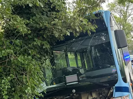 POL-PB: Sechs leichtverletzte Kinder bei Unfall mit Linienbus - Beteiligter Autofahrer flüchtet - Polizei sucht Zeugen - Foto: presseportal.de