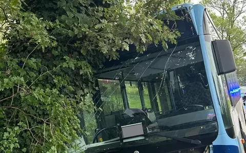 POL-PB: Sechs leichtverletzte Kinder bei Unfall mit Linienbus - Beteiligter Autofahrer flüchtet - Polizei sucht Zeugen - Foto: presseportal.de
