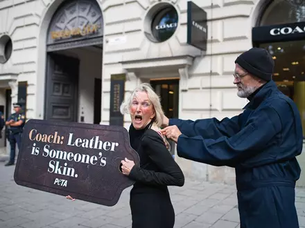 Aktuelles Bild- und Videomaterial: PETA-Gründerin Ingrid Newkirk wird vor COACH-Filiale in München lebendig gehäutet - Foto: presseportal.de