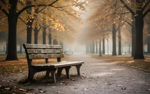 Eine leere Parkbank auf einem von goldenen Herbstblättern gesäumten Weg im Park. - Foto: über boerse-global.de