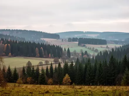 Landschaftsaufnahme der erzgebirgischen Hügel und Nadelwälder bei bewölktem Himmel. - Foto: über boerse-global.de