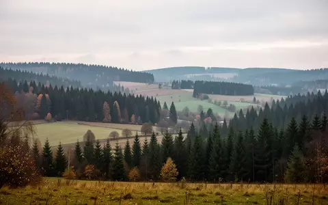 Landschaftsaufnahme der erzgebirgischen Hügel und Nadelwälder bei bewölktem Himmel. - Foto: über boerse-global.de