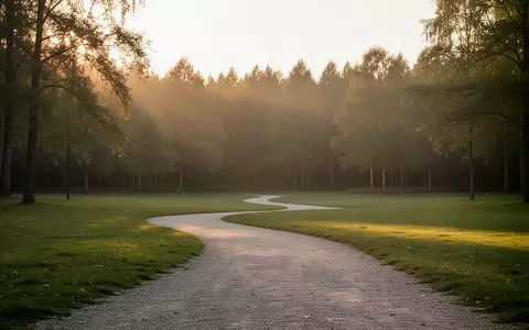 Ein ruhiger Parkweg bei Sonnenuntergang, der in den Wald führt und eine Atmosphäre der Entspannung und Prävention vermittelt. - Foto: über boerse-global.de