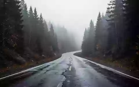 Eine menschenleere, nasse Asphaltstraße in einem nebligen Nadelwald bei herbstlichem Wetter. - Foto: über boerse-global.de