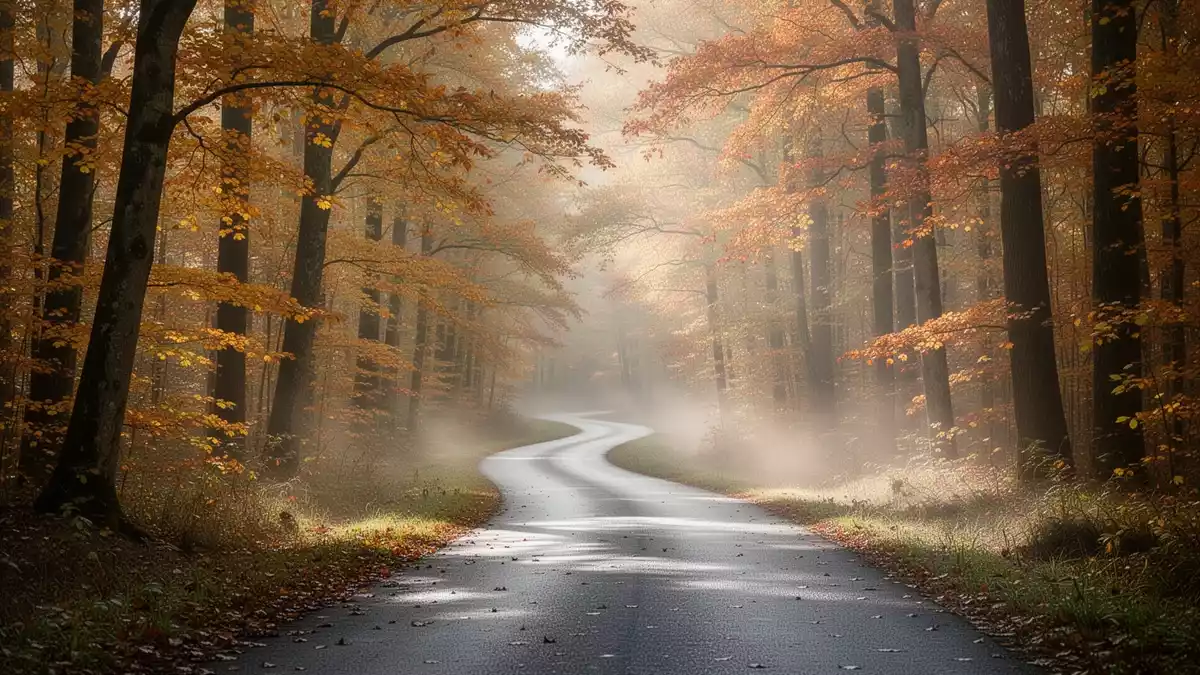Herbstlicher Breitensport: volle Laufstarts und vielfältige Wettbewerbe