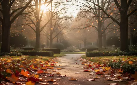 Ein ruhiger Parkweg im Herbst mit buntem Laub unter kahlen Bäumen im sanften Sonnenlicht. - Foto: über boerse-global.de
