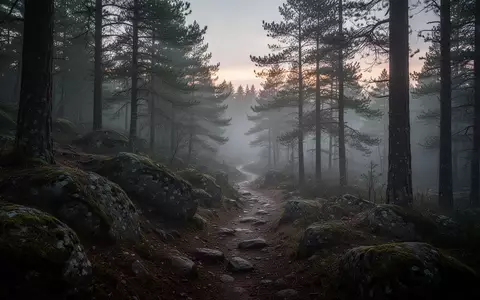 Ein nebliger Waldpfad bei Dämmerung in einer hügeligen Landschaft, der die Naturverbundenheit und Herausforderung bei Geländeläufen symbolisiert. - Foto: über boerse-global.de