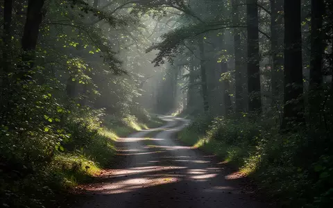 Ein gewundener Waldweg im Morgenlicht, der zu Bewegung und körperlicher Aktivität in der Natur einlädt. - Foto: über boerse-global.de