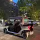Immer mehr Golfcarts mit Touristen verstopfen Roms Straßen. - Bild: Sabine Dobel/dpa