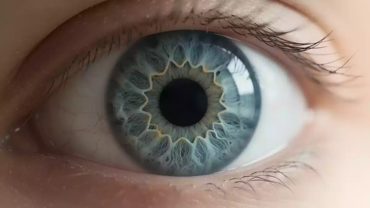 GenSight-Therapie verbessert Lichtwahrnehmung bei Retinitis pigmentosa
