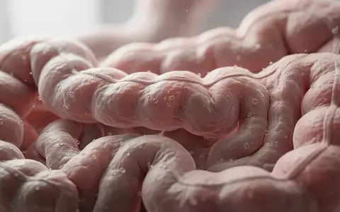 Mikroskopische Nahaufnahme eines biologischen Gewebes, das die Struktur der menschlichen Darmschleimhaut darstellt. - Foto: über boerse-global.de