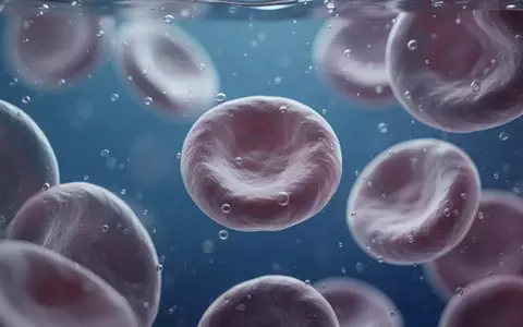 Mikroskopische Aufnahme von menschlichen Blutzellen in einer Laborumgebung zur Veranschaulichung biologischer Alterungsprozesse. - Foto: über boerse-global.de