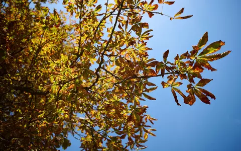 Der Deutsche Wetterdienst sagt für Montag und Mittwoch freundlicheres Herbstwetter vorher.  - Foto: Katharina Kausche/dpa
