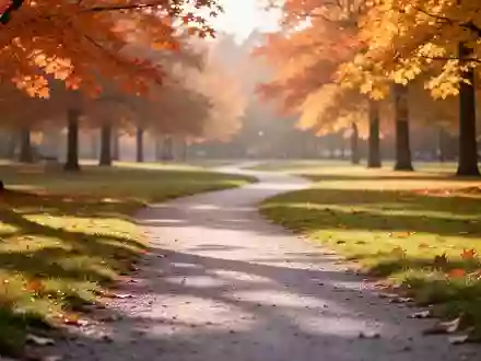 Ein friedlicher, von herbstlichen Bäumen gesäumter Weg in einem Park, der ein Gefühl von Ruhe und Zuversicht vermittelt. - Foto: über boerse-global.de