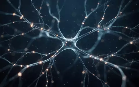 Abstrakte Darstellung neuronaler Netzwerke und Verbindungen im Gehirn, visualisiert durch ein komplexes Geflecht aus Licht. - Foto: über boerse-global.de