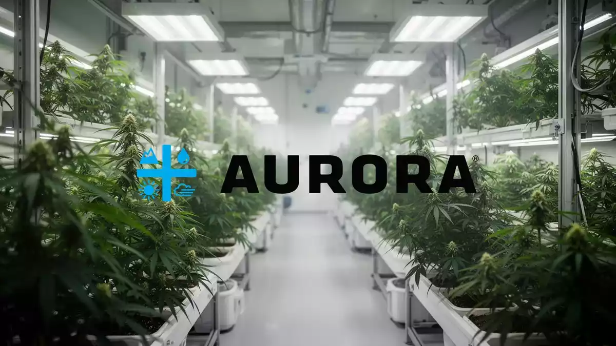 Aurora Cannabis: Curaleaf erhöht Angebot, Leuna-Ausbau abgeschlossen
