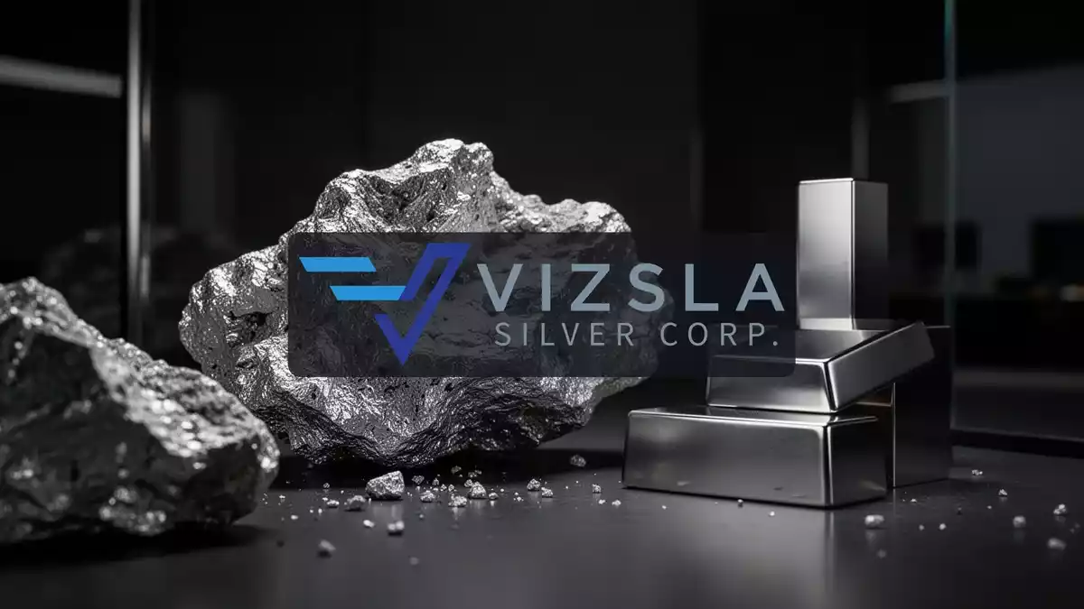 Vizsla Silver: Aktionäre billigen alle Anträge, Kursplus bleibt ungeklärt