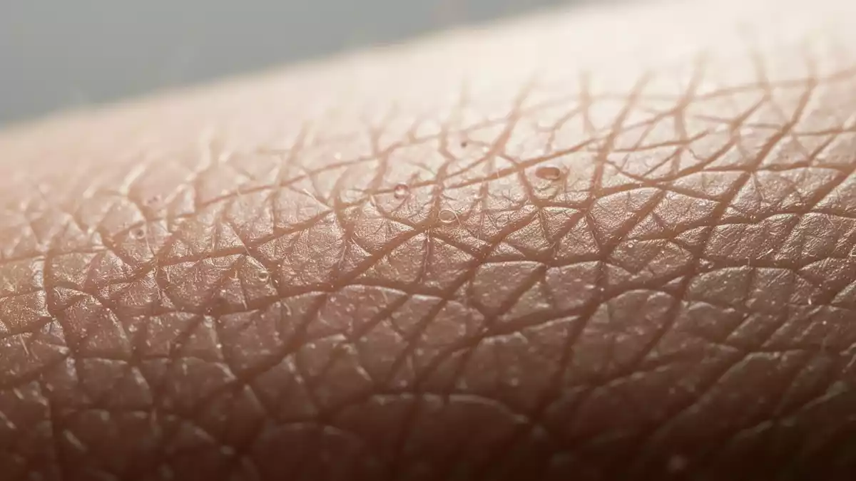 Hautalterung: Was Ultraschall, Radiofrequenz und Laser bewirken