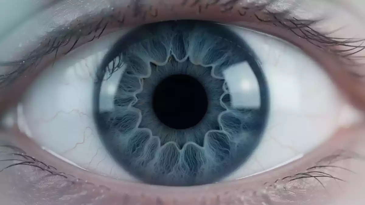 NAC Attack prüft N-Acetylcystein bei Retinitis pigmentosa