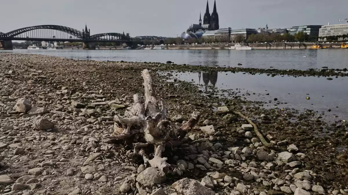 Auch viele deutsche Flüsse hatten sehr niedrige Pegelstände. (Symbolbild)  - Bild: Oliver Berg/dpa