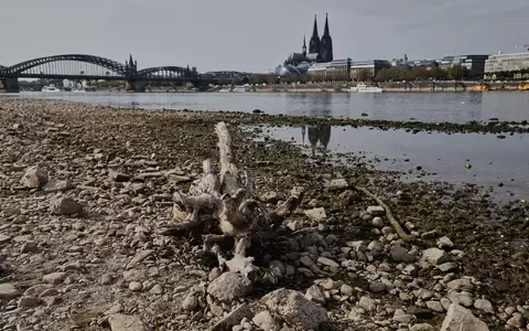 Auch viele deutsche Flüsse hatten sehr niedrige Pegelstände. (Symbolbild)  - Foto: Oliver Berg/dpa