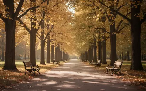 Ein sonnendurchfluteter Parkweg im Herbst mit leeren Holzbänken unter herbstlich gefärbten Bäumen. - Foto: über boerse-global.de