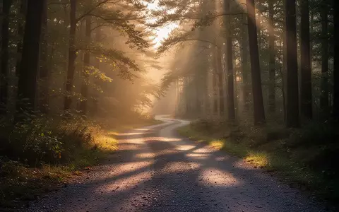 Ein einsamer Waldweg bei Sonnenaufgang mit weichem Licht und langen Schatten. - Foto: über boerse-global.de