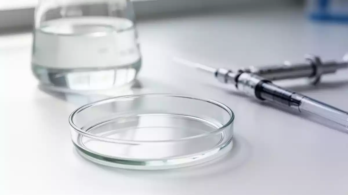 Argyrin B bekämpft C. difficile und schont Darmmikroben im Mausmodell