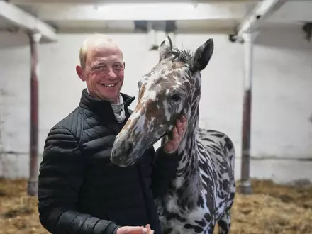 Ein Mann und sein Zebra? Nein: Es ist ein Pferd.  - Foto: Sven Kaeuler/dpa