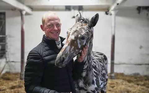 Ein Mann und sein Zebra? Nein: Es ist ein Pferd.  - Foto: Sven Kaeuler/dpa