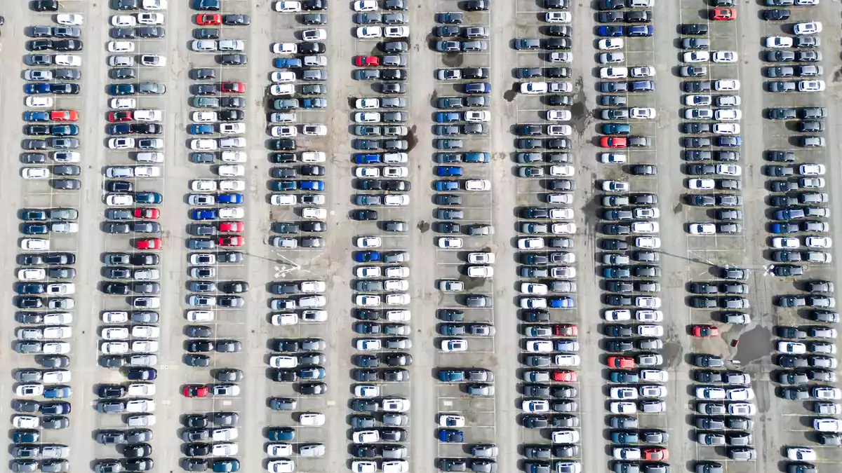 Neuwagen von Volkswagen stehen in Wolfsburg. (Symbolbild) - Bild: Julian Stratenschulte/dpa
