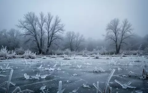 Verschneite Winterlandschaft mit gefrorenen Pflanzen und frostigen Texturen unter einem grauen Himmel. - Foto: über boerse-global.de