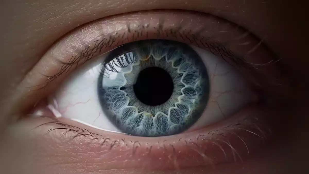 Diabetische Retinopathie: Frühe Kontrollen und neue Studienergebnisse